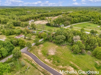 Parcel 1 Leaf Ln, Freeport, MI 49325