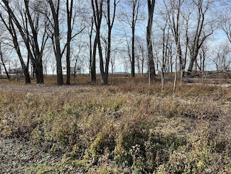 73 S River Rd, Hurricane Township, MO 63343