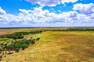 TBD Cr 113, Rochester, TX 79544