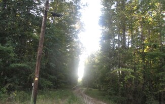 3324 Double Bridge Ferry Rd, Eclectic, AL 36024