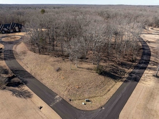 40 Kingsbury Cove, Hickory Withe, TN 38028