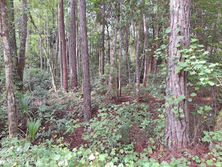 0 E Alachua St Unit 2039767, Palatka, FL 32177