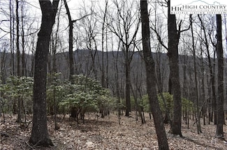 TBD Prathers Creek Church Rd, Laurel Springs, NC 28675