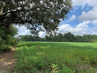 0 Boggy Swamp Rd, Kingstree, SC 29556
