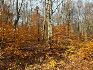 1.12 Prince Brook Rd Unit 12, Osceola, NY 13437