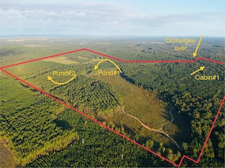 644 Ash-Harrel Loop, Abbeville, GA 31001