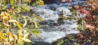 19845 Cinder Pit Rd, Hat Creek, CA 96040