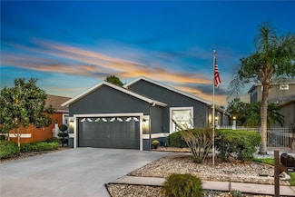 8116 Sanguinelli Rd, Land O Lakes, FL 34637