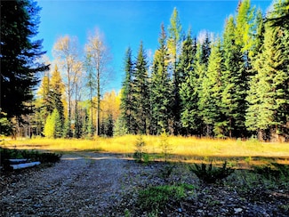 6580 Edna Creek Rd, Trego, MT 59934