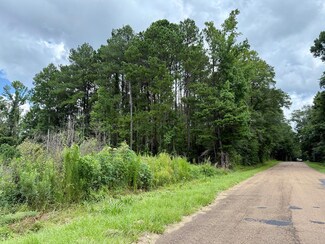 2194 Mississippi 570, Summit, MS 39666