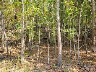 13 Raulstontown Rd, South Pittsburg, TN 37380