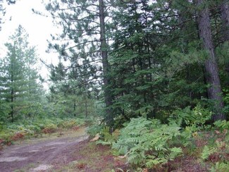 2571 Hidden Ridge Ct, Grayling, MI 49738