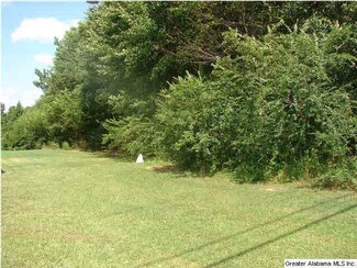 9147 Lock 17 Rd, Bessemer, AL 35023