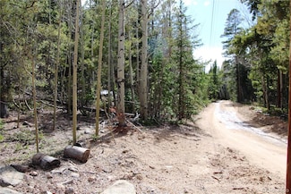 435 Aspen Rd Unit 117, Black Hawk, CO 80422