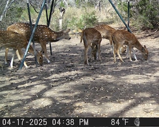 SD0 277, Rocksprings, TX 78880