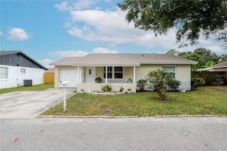 10118 Hunters Point Ct, Tampa, FL 33615