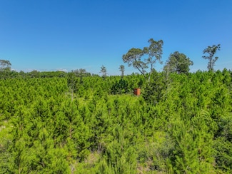 0 Tbd Cr 1450, Warren, TX 77664