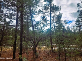 5197 Hilltop Dr, Lakeside, AZ 85929