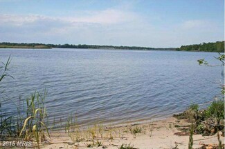 20562 Hog Island Rd, Preston, MD 21655