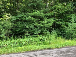 Lot 1 Pine Tree Rd, Township of Jackson, PA 18708