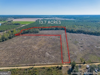 TRACT 11 Pine Cone Trail, Mershon, GA 31551