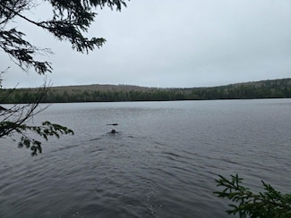 Deer Point Rd W- Unit A, Robbinston, ME 04671