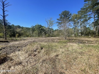 3521 Dale Ln, Moss Point, MS 39563