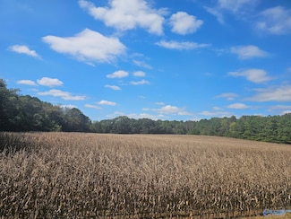 Lot 0 Landess Cir, Triana, AL 35756