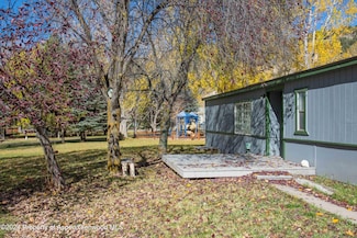 113 Pica Ln, Carbondale, CO 81623