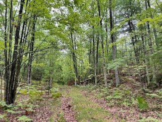 0 County Rd Oo, Pembine, WI 54156