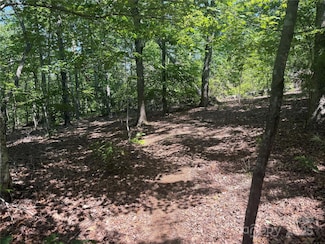 0 Crescent Ridge Ln Unit 373 CAR4268293, Nebo, NC 28761