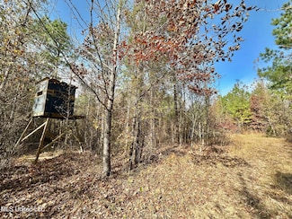 3 County Road 3122, McCool, MS 39108