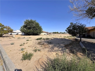 14040 Rivers Edge Rd, Helendale, CA 92342