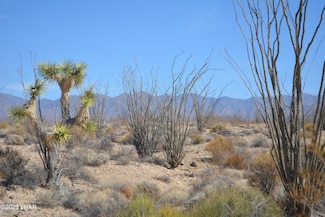 G12 S Rainbow Rd, Yucca, AZ 86438