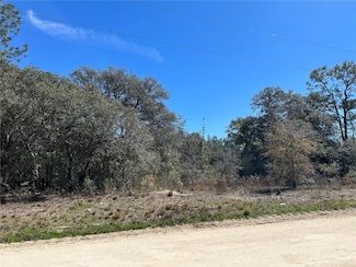 2061 SE 150th Ave, Morriston, FL 32668