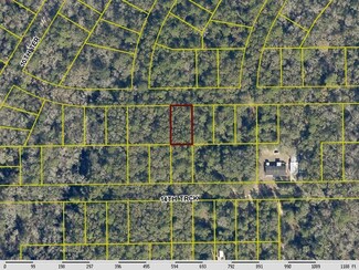 0 Leg Lot 12 Blk 12 Suw River Pa Unit R11005341, Live Oak, FL 32060