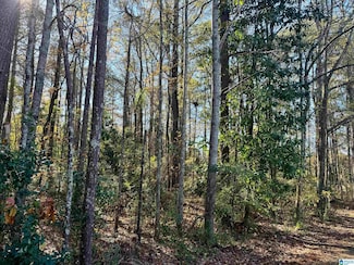 Lot 18 Omaha Rd Unit Lot 18, Roanoke, AL 36274
