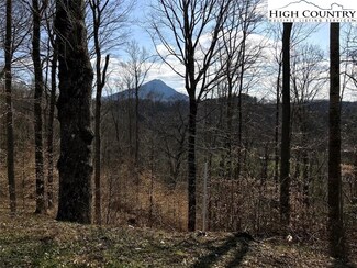 14&15 Peak Mountain Edge Rd, Creston, NC 28615