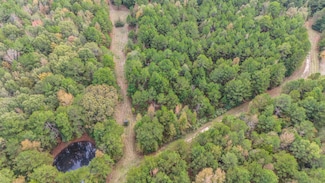 Tbd County Road 3133, Deberry, TX 75639