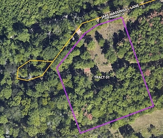 TBD-01 Jape Massingill Ln, Diboll, TX 75941