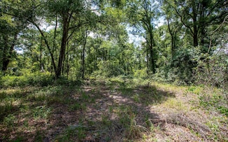 0 Heritage Trail, Obrien, FL 32071