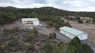 19316 Ward Creek Rd, Cedaredge, CO 81413