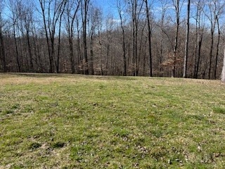0 Cline Ridge Rd Unit RTC2805559, Winchester, TN 37398