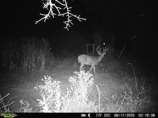 3625 Sylvester Rd, Albany, GA 31705