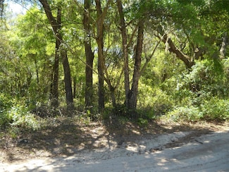 00 NE 167th Place, Citra, FL 32113