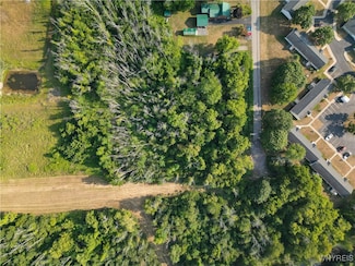 0 Brown Ave, Medina, NY 14103