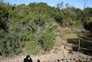 000 Upper Brad Rd, Strawn, TX 76475