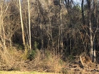 00 Georgia 135, Uvalda, GA 30473