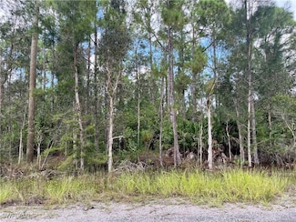 302 Rosanna Ave, Lehigh Acres, FL 33972