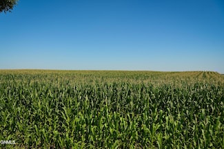 Tbd 96th St SE, Strasburg, ND 58573